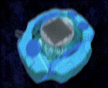 Digimon Adventure GIF - Digimon Adventure GIFs