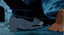 Lady Angry Lady And The Tramp GIF - Lady Angry Lady And The Tramp GIFs