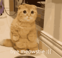 Meowstie Ksp GIF - Meowstie Ksp Bye Cat GIFs