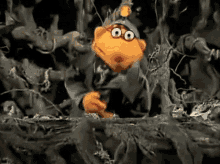 Muppet Show Scooter GIF - Muppet Show Scooter Worms GIFs