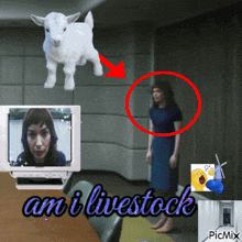 a picture of a woman and a goat with the words " am i livestock "