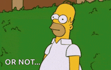 homer simpson from the simpsons is standing in the grass and looking at the camera .