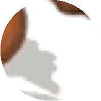 a brown and white circle with a shadow of a horse on it