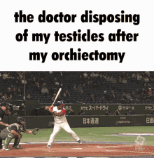 Orchiectomy Testicles GIF