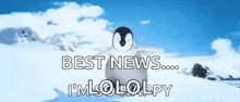a penguin is standing in the snow with the words `` best news , i 'm lololopy '' written on it .