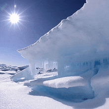 Canadas-high-arctic Snowflakes GIF
