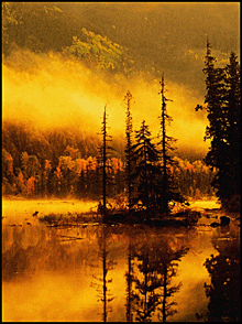 Lakes-of-canada Alberta-canada GIF - Lakes-of-canada Canada Alberta-canada GIFs