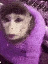 a monkey wearing a purple scarf around its neck .