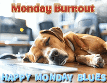 a dog is laying on a desk with the words monday burnout happy monday blues