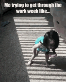 Work Week GIF - Work Week GIFs