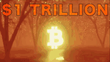 Bitcoin Crypto GIF - Bitcoin Crypto Bitcoin Moon GIFs
