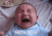 Meta_blue Meta_blue Baby GIF