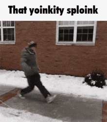 Yoinky Sploinky Yoinkity Sploink GIF - Yoinky Sploinky Yoinkity Sploink Black Ice GIFs