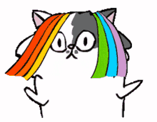 cat rainbow hair sassy head shake