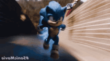 Sonic Leaves GIF - Sonic Leaves GIFs