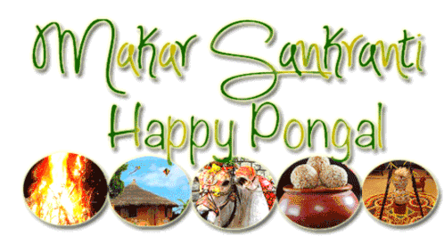 Happy Pongal Makar Sankranti Sticker - Happy Pongal Makar Sankranti Pongal Stickers