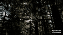 Sun Shining GIF - Forest Twin Peaks The Return Trees GIFs
