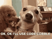Code Cobble GIF - Code Cobble GIFs