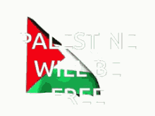 Freedom Palestine GIF - Freedom Palestine Free Palestine GIFs