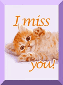 Cats Kittens GIF - Cats Kittens I Miss You GIFs
