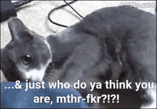 Midnightgif300 GIF