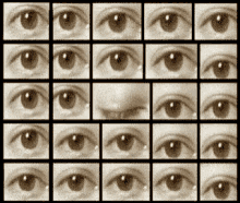 Eyelashes Eyes GIF - Eyelashes Eyes Moving Eyes GIFs