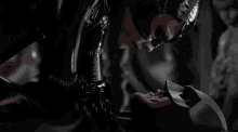 a woman in a catwoman costume kissing a man in a batman mask .
