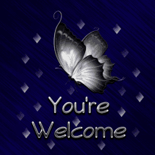 Youre Welcome Butterfly GIF