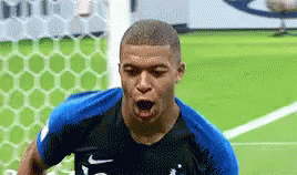 france-world-cup.gif
