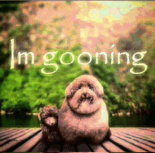 two dogs sitting on a wooden dock with the words i 'm gooning written on the bottom