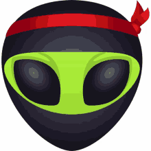 mask ninja