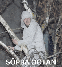a man in a hooded sweatshirt climbs a tree with the words sopra ootan written below him