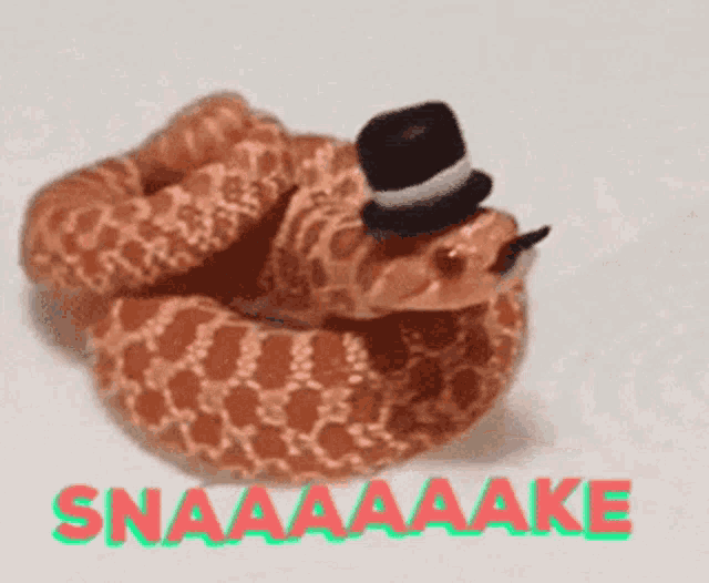 Outdare Snake Snake GIF - Outdare Snake Snake Snake Outdare GIFs
