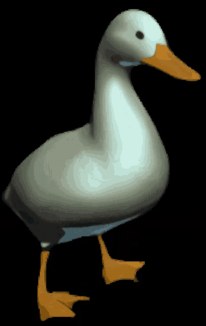 njWPDzR.gif (1920×1080)  Duck wallpaper, Cool animated gifs, Funny duck