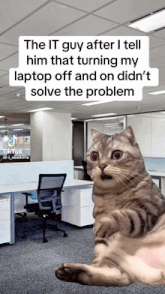 a cat in an office with a caption that says the it guy after i tell him