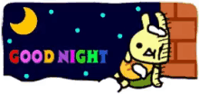 a cartoon of a rabbit with the words good night