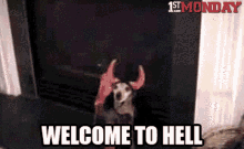 Dog Welcome To Hell GIF - Dog Welcome To Hell Hell GIFs
