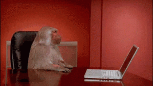 a monkey shoving a laptop of a desk in seeming anger