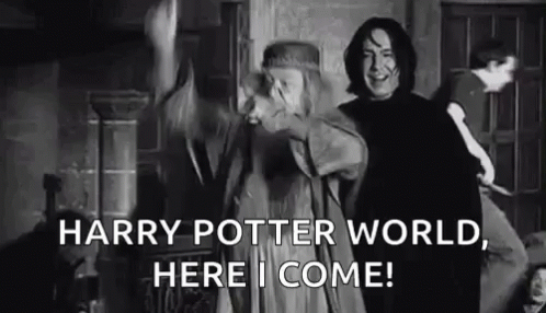 Harry Potter World Dumbledore GIF - Harry Potter World Dumbledore Harry Potter World Here I Come GIFs