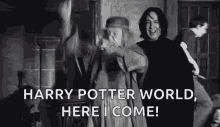 Harry Potter World Dumbledore GIF - Harry Potter World Dumbledore Harry Potter World Here I Come GIFs