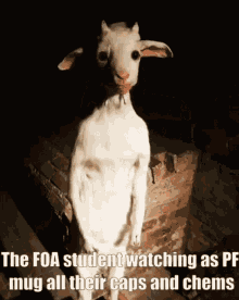 Falloutincursion Foa GIF