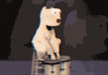 Lasagna Cat Odie GIF - Lasagna Cat Odie Drums GIFs