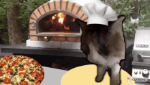 Cat Pizza GIF - Cat Pizza Italian Pizza GIFs