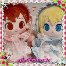 a picture of two stuffed dolls with the words girlfriends written on the bottom