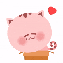 cute cat animal pink love