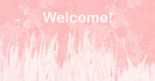Aesthetic Pink Welcome Image GIF - Aesthetic Pink Welcome Image GIFs
