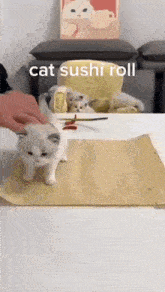 Cat Sushi GIF - Cat Sushi Roll GIFs