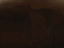 Lappland Lappy GIF - Lappland Lappy Arknights GIFs