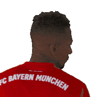 Fc Bayern Fcb Sticker - Fc Bayern Fcb Bayern Stickers