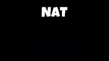 Natisback Natishere GIF - Natisback Natishere GIFs